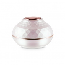 30/50g洋葱亚克力膏霜瓶