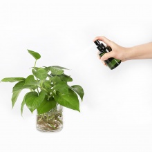 50-200ml墨绿斜肩喷雾瓶